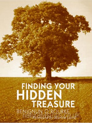 cover image of Finding Your Hidden Treasure: the Way of Silent Prayer